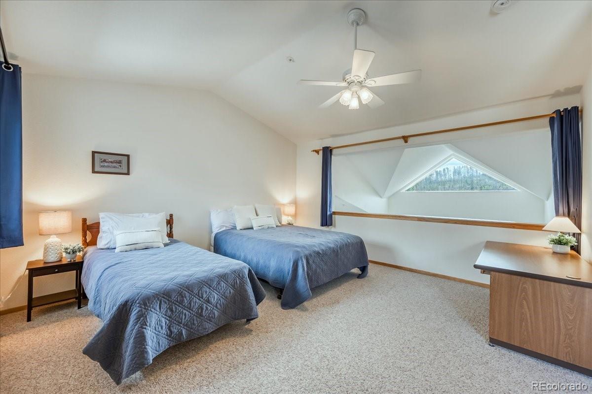 91399 Ryan Gulch Road Silverthorne CO 80498