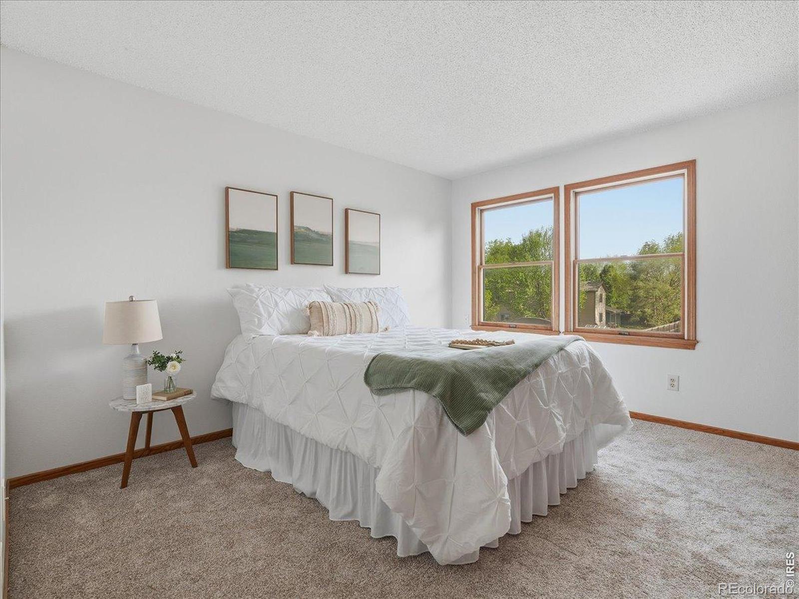 244 E 42nd Street Loveland CO 80538