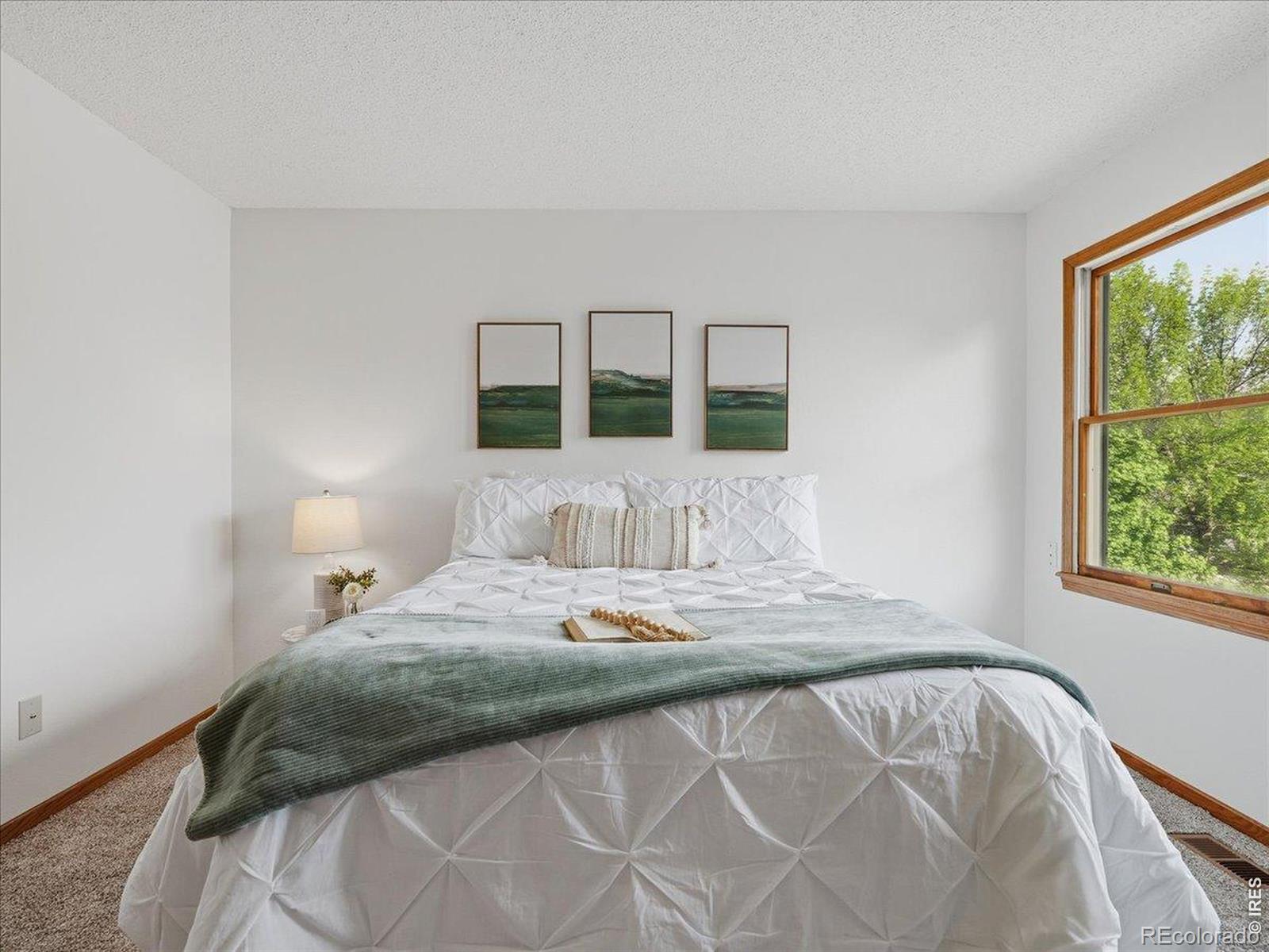 244 E 42nd Street Loveland CO 80538