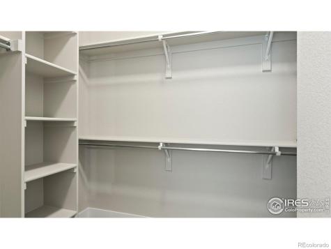 6226 Vernazza Way Windsor CO 80550