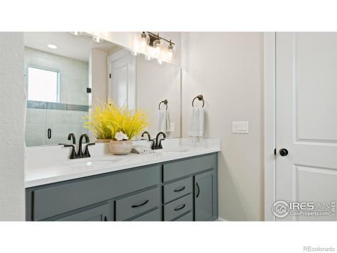 6226 Vernazza Way Windsor CO 80550