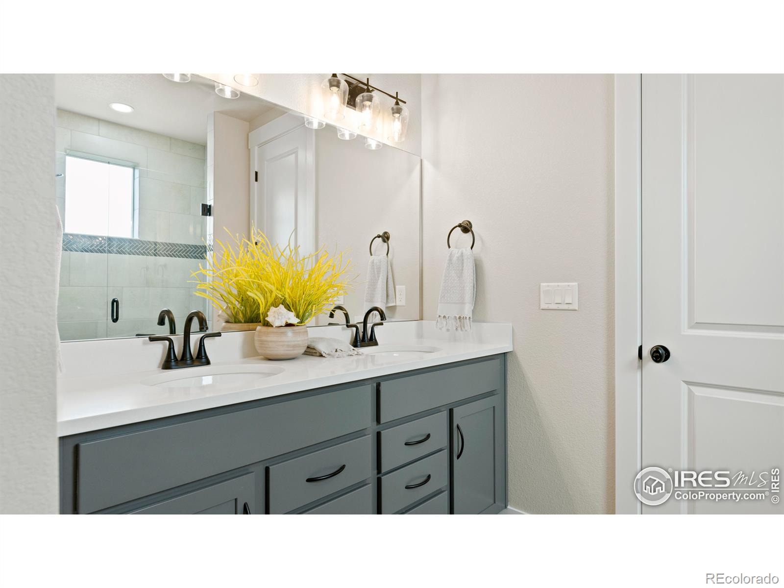 6226 Vernazza Way Windsor CO 80550