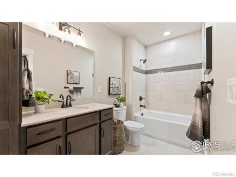 6226 Vernazza Way Windsor CO 80550
