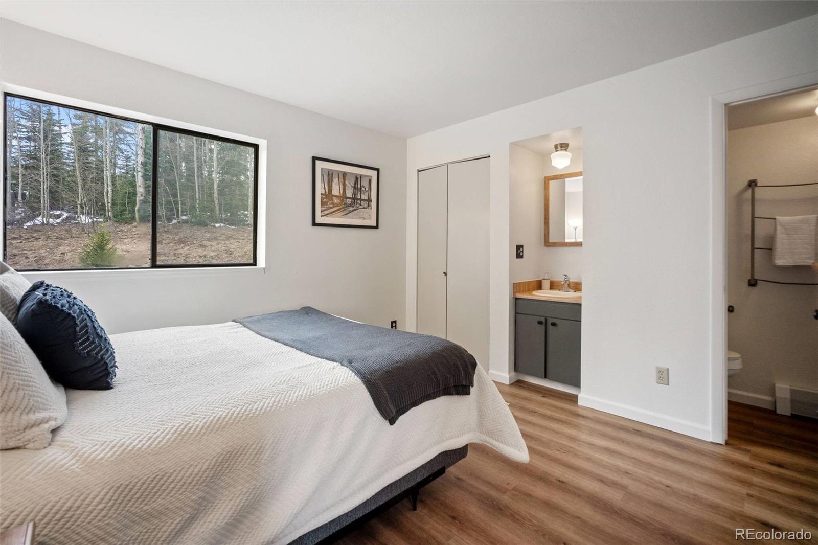 9876 Ryan Gulch Road Silverthorne CO 80498