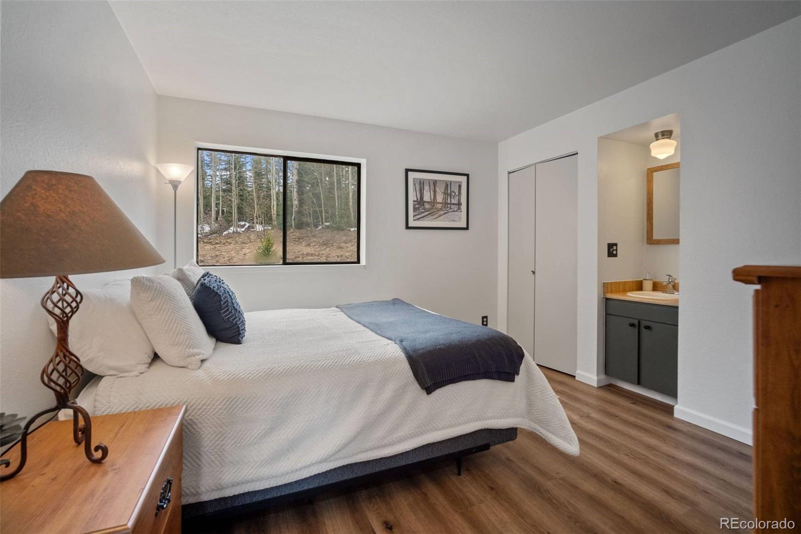 9876 Ryan Gulch Road Silverthorne CO 80498