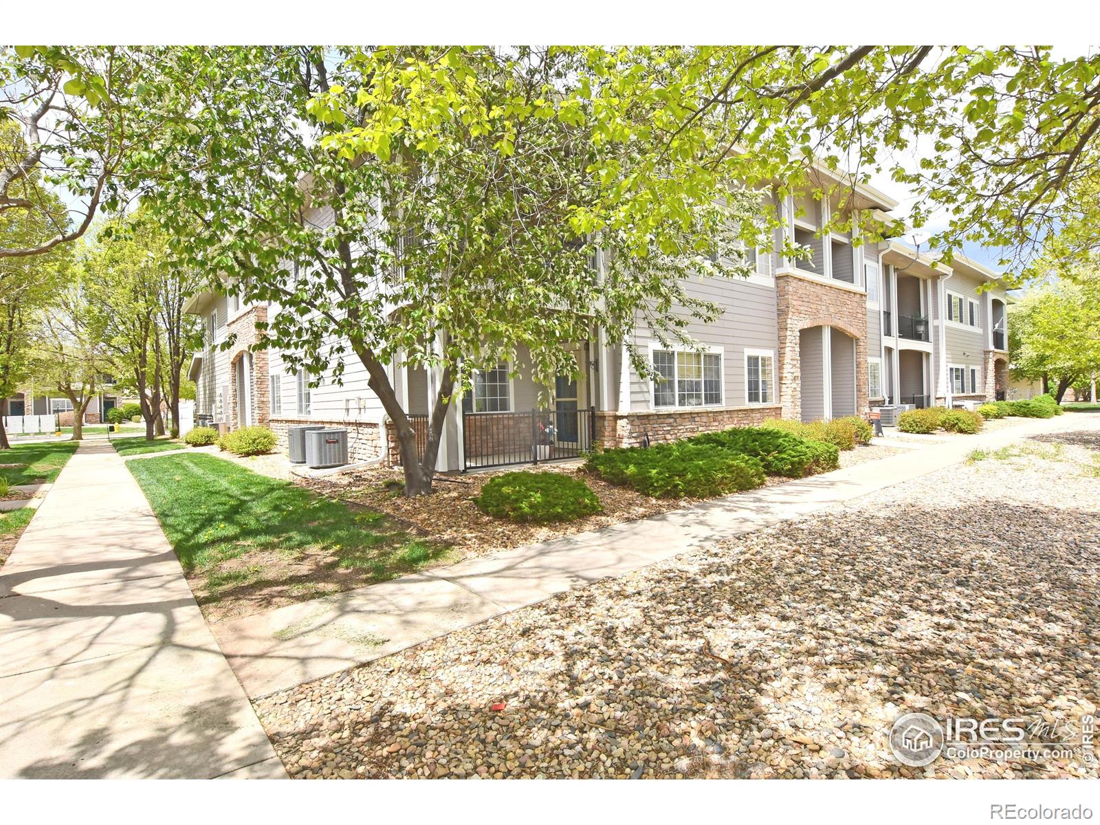 5014 Northern Lights Drive Fort Collins CO 80528