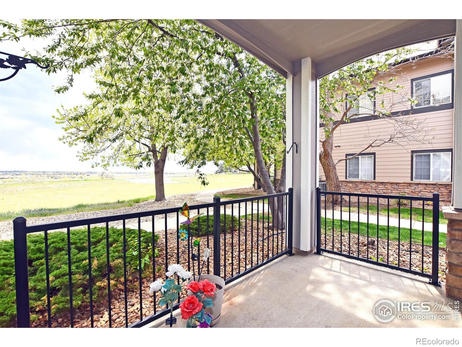 5014 Northern Lights Drive Fort Collins CO 80528
