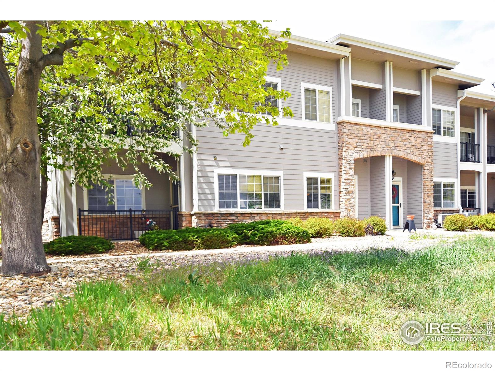 5014 Northern Lights Drive Fort Collins CO 80528