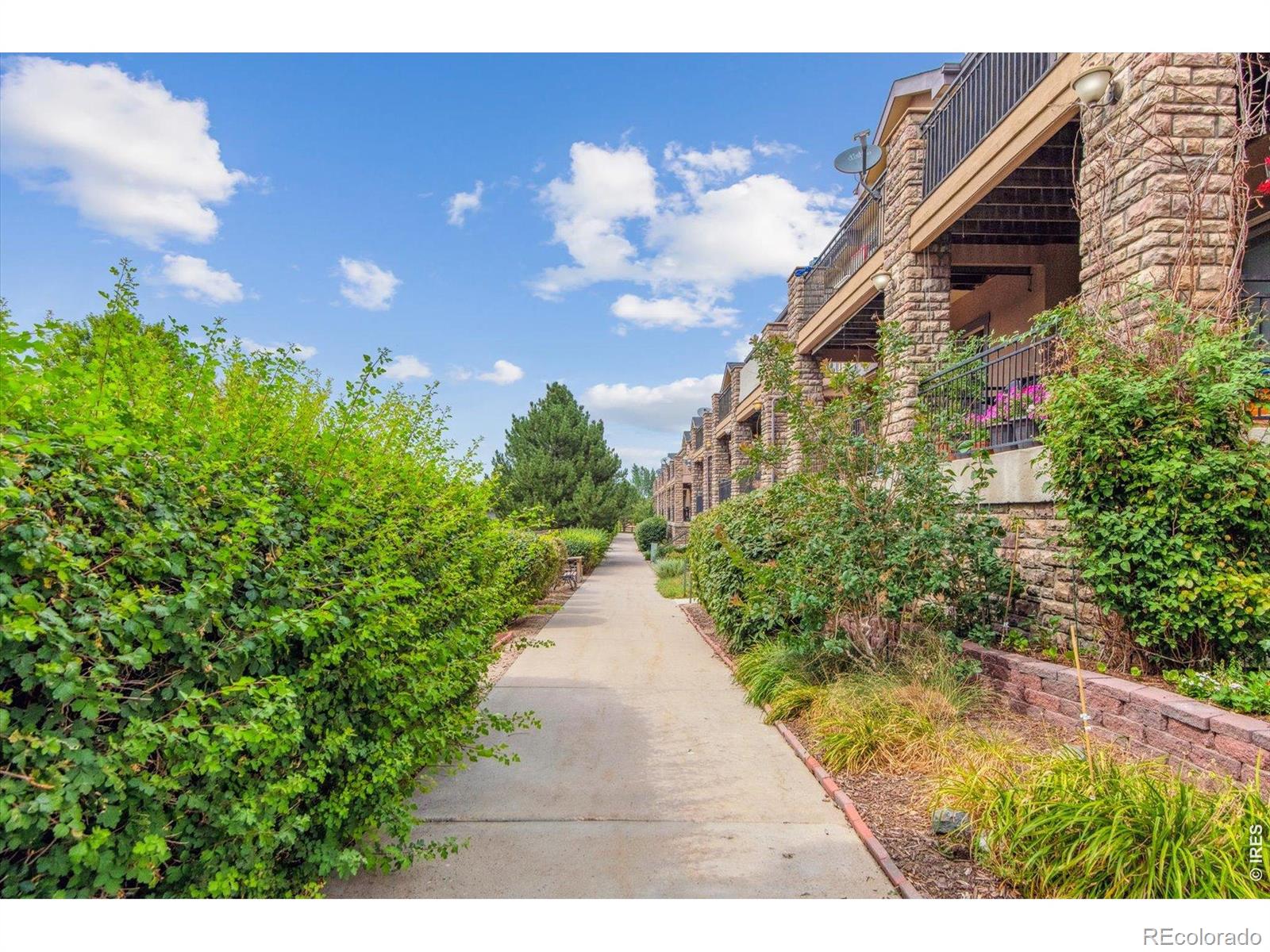 3155 E 104th Avenue Thornton CO 80233