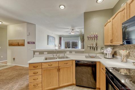 8374 S Holland Way Littleton CO 80128