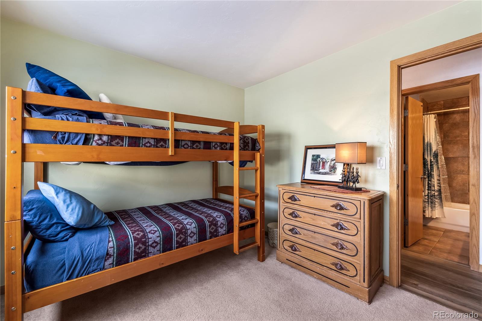 14 Crystal Cove Dillon CO 80435