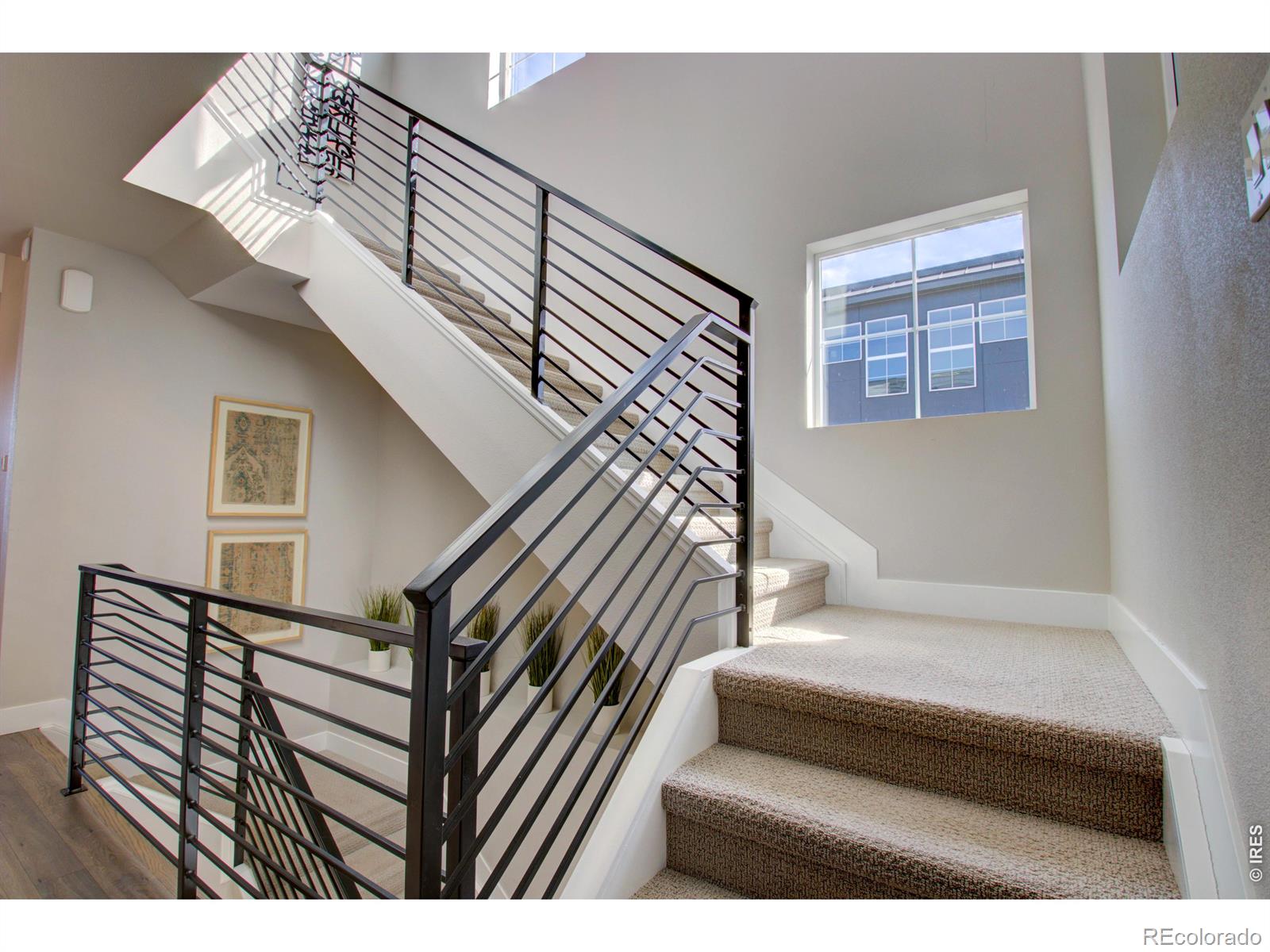 7861 W 51st Avenue Arvada CO 80002