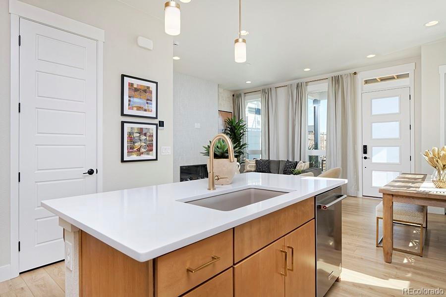 3281 W Frances Walsh Place Denver CO 80236