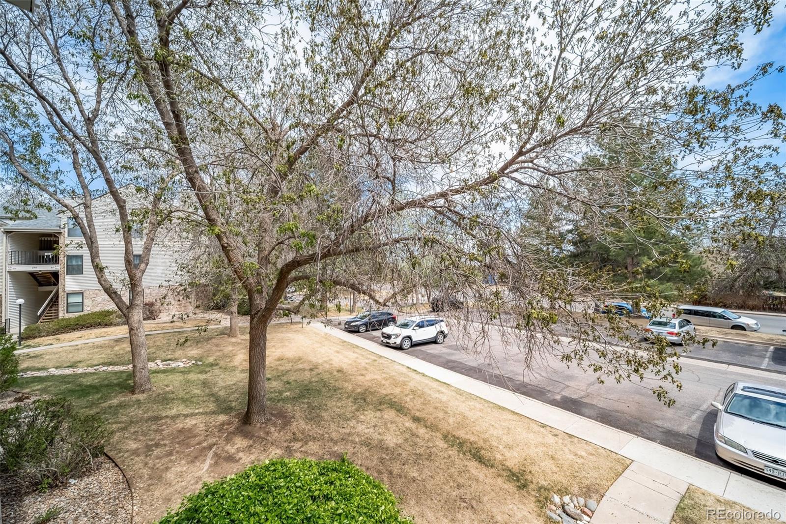 6765 S Field Street Littleton CO 80128