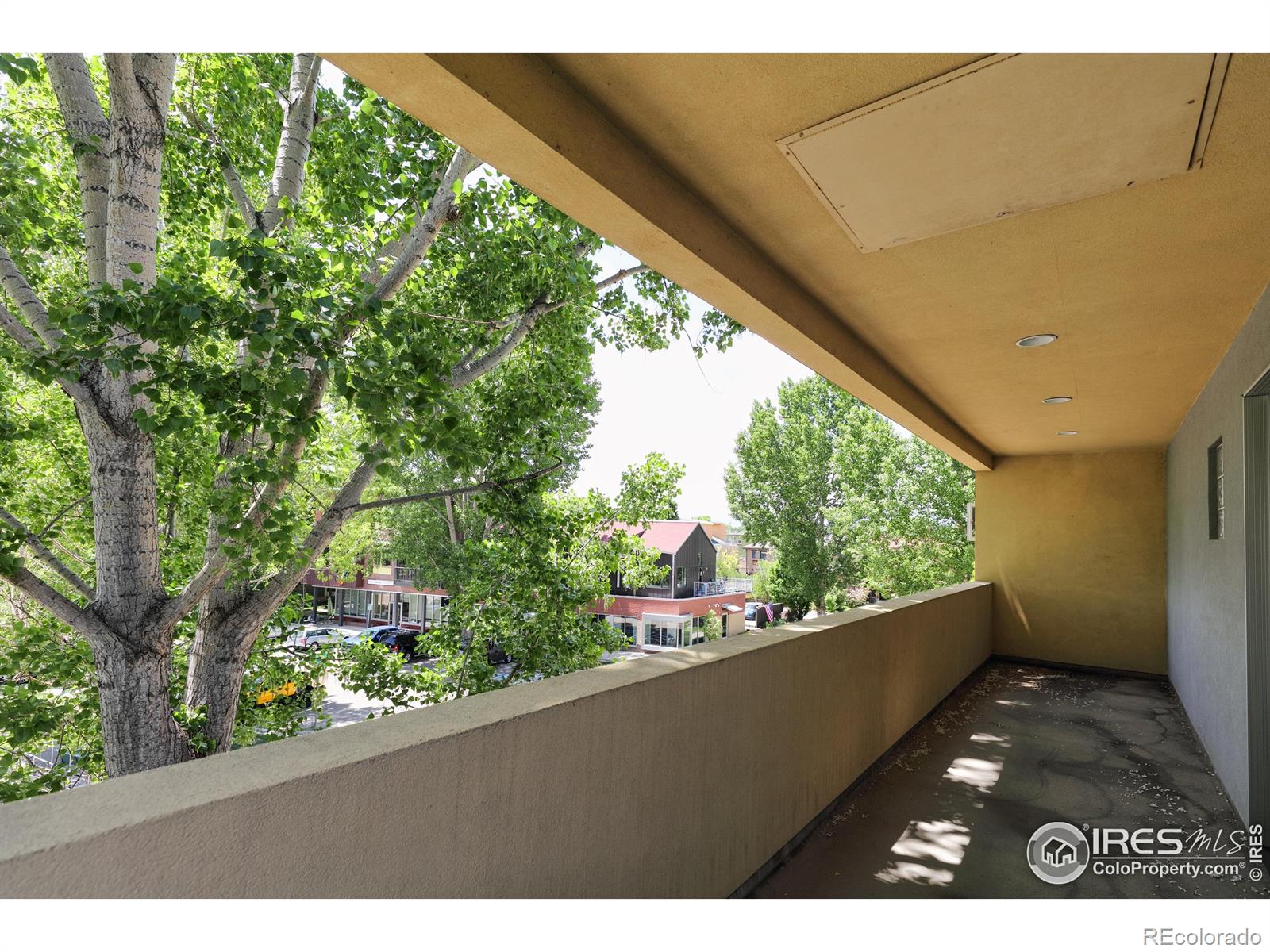 722 Tenacity Drive Longmont CO 80504