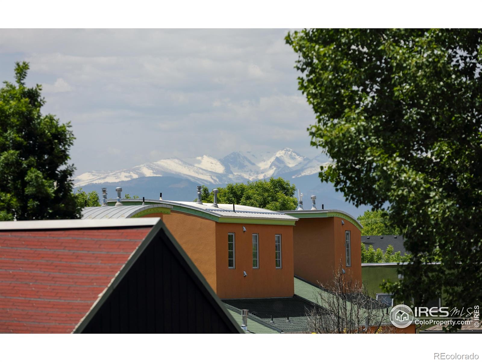 722 Tenacity Drive Longmont CO 80504