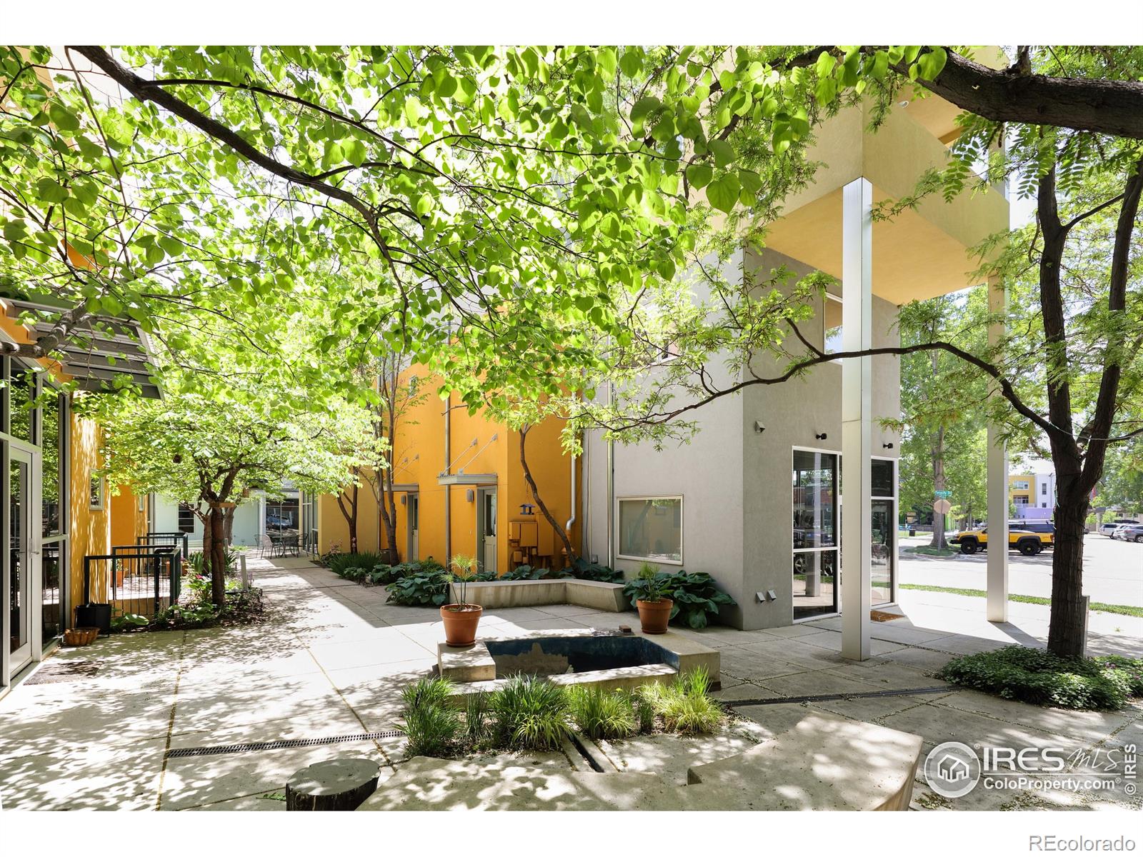 722 Tenacity Drive Longmont CO 80504