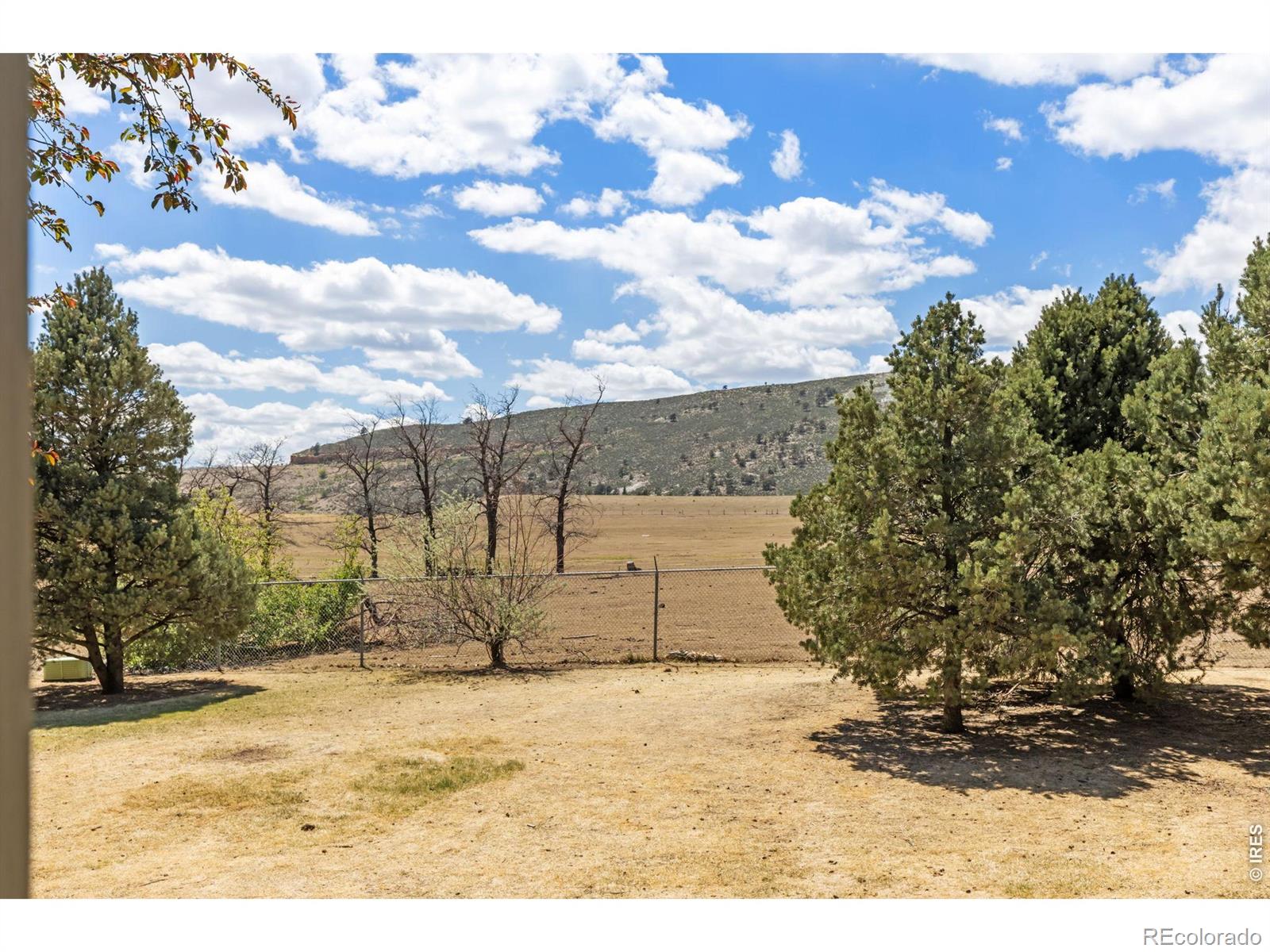 3200 Azalea Drive Fort Collins CO 80526