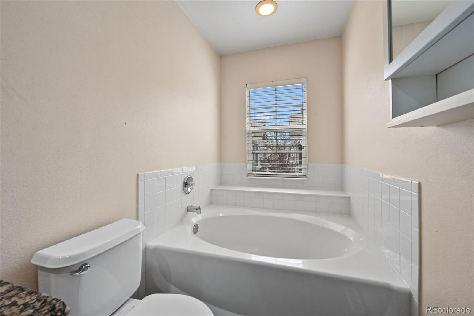 1252 Carlyle Park Circle Highlands Ranch CO 80129