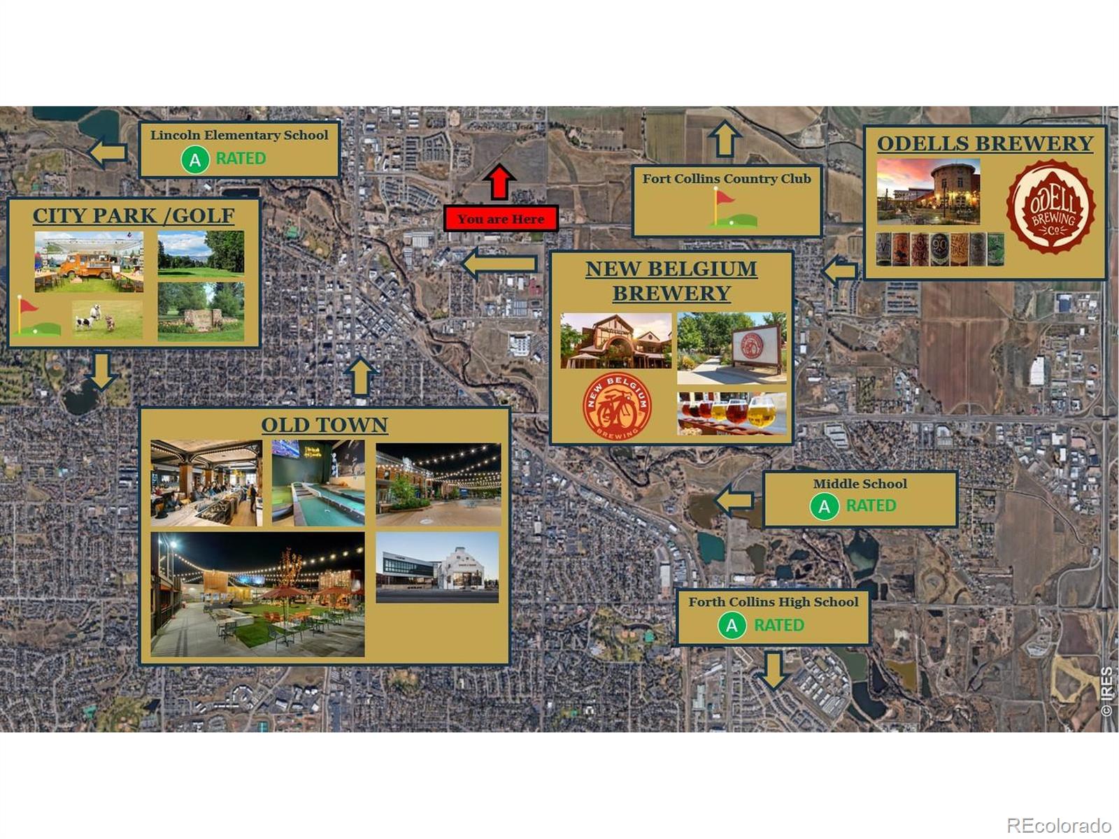 1003 Schlagel Street Fort Collins CO 80524