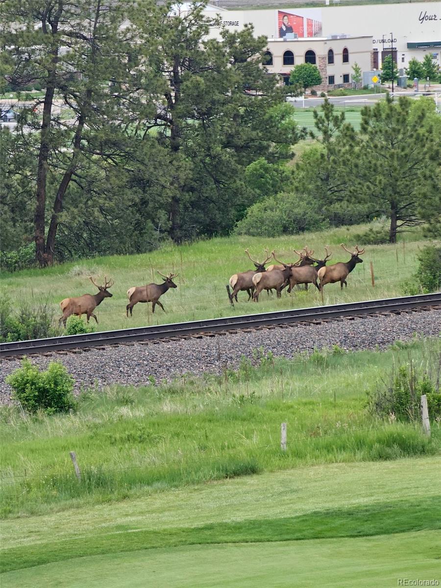 2809 Newport Circle Castle Rock CO 80104