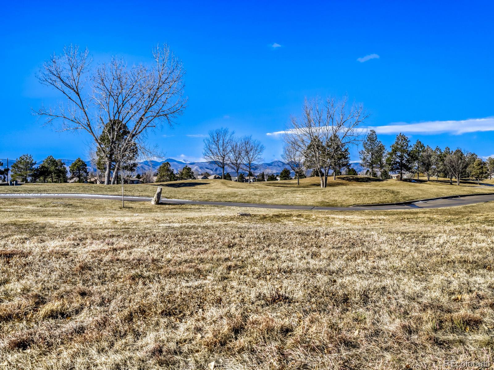 8893 Tappy Toorie Circle Highlands Ranch CO 80129