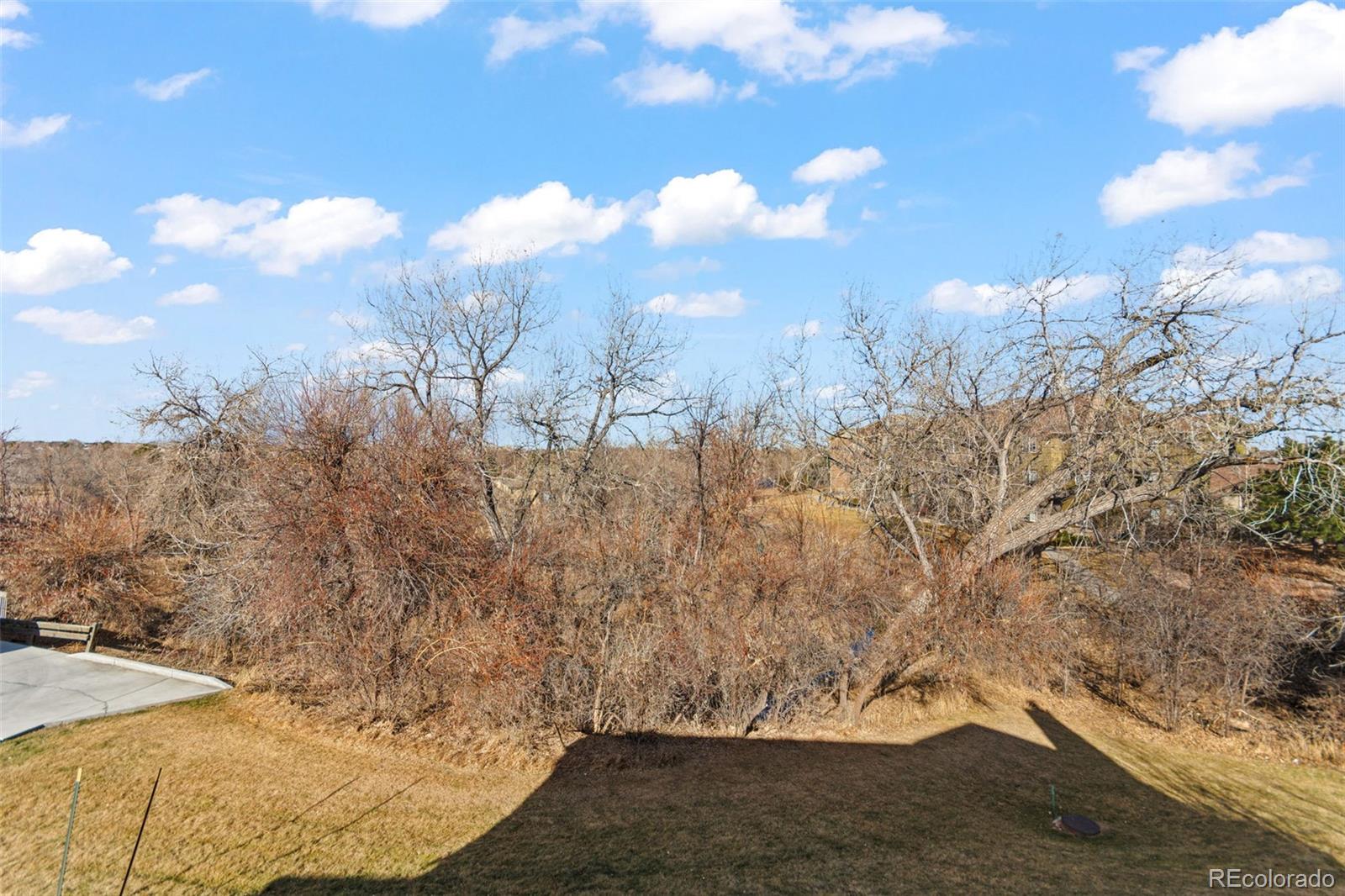 10213 W 80th Drive Arvada CO 80005