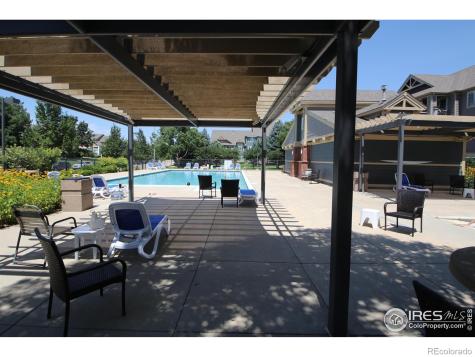 804 Summer Hawk Drive Longmont CO 80504