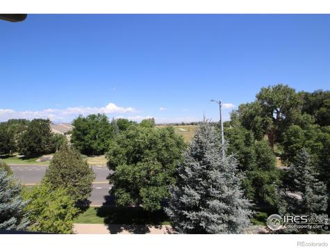 804 Summer Hawk Drive Longmont CO 80504