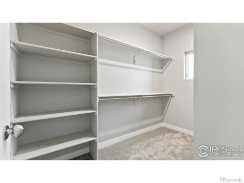 6780 Maple Leaf Drive Timnath CO 80547