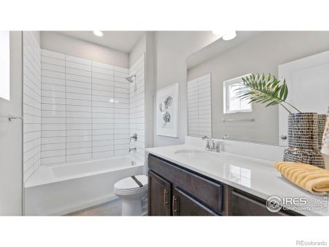 6780 Maple Leaf Drive Timnath CO 80547