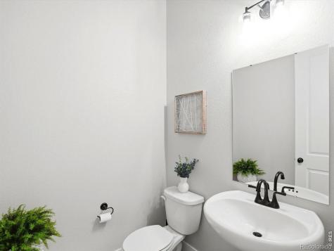 6241 Vernazza Way Windsor CO 80550