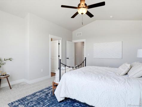6241 Vernazza Way Windsor CO 80550