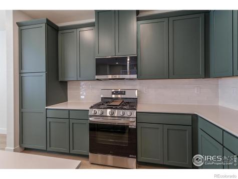 4901 Autumn Leaf Drive Timnath CO 80547