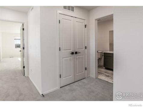 4901 Autumn Leaf Drive Timnath CO 80547