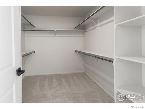 4901 Autumn Leaf Drive Timnath CO 80547