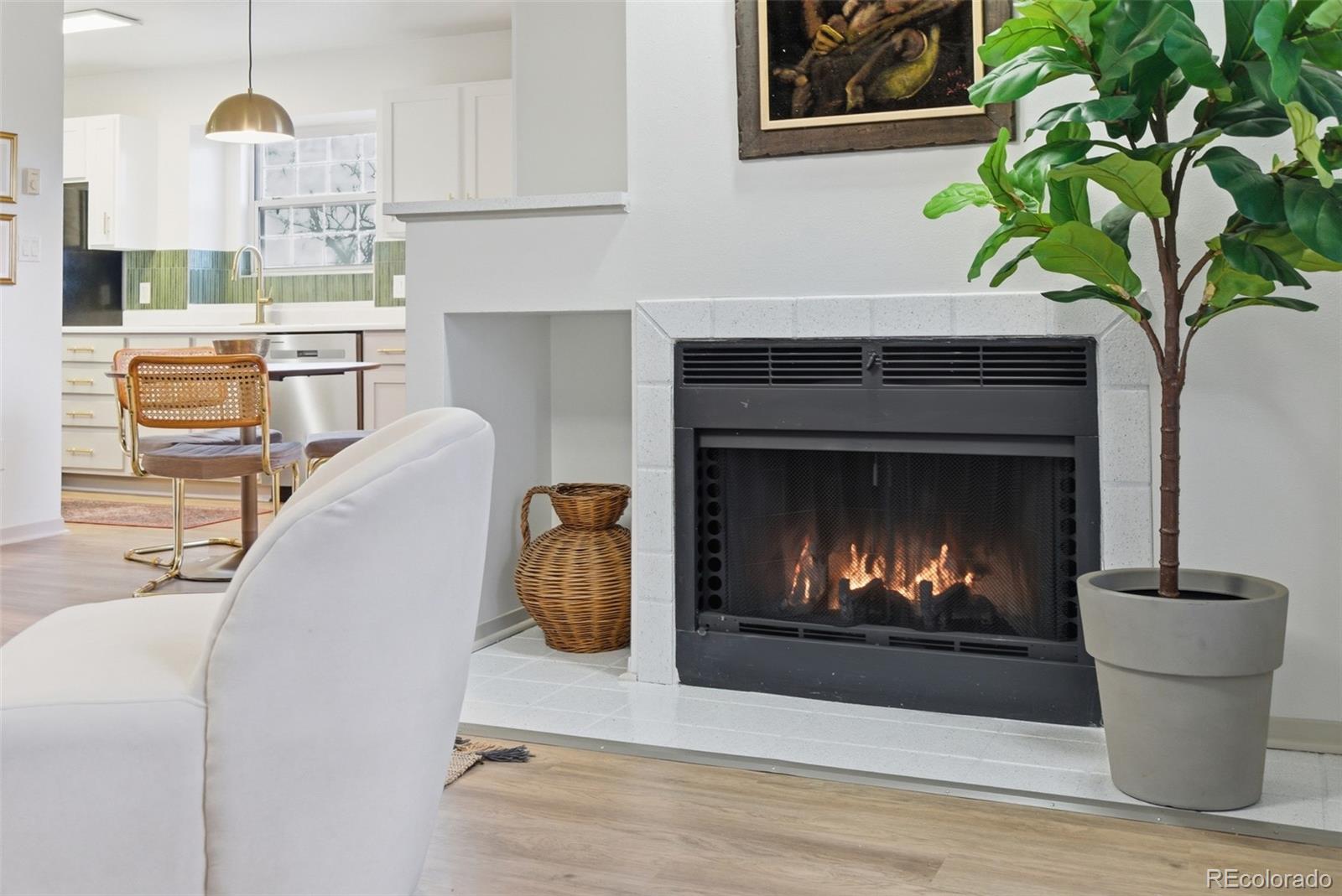 1301 University Avenue Fort Collins CO 80521