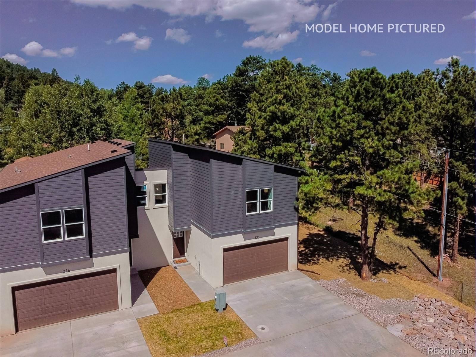 311 Spruce Meadow Woodland Park CO 80863