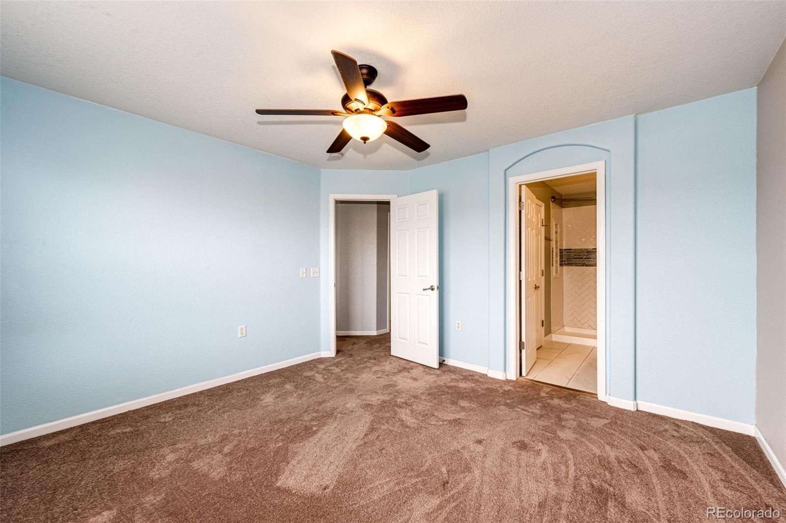 1482 Nemrick Place Castle Rock CO 80109