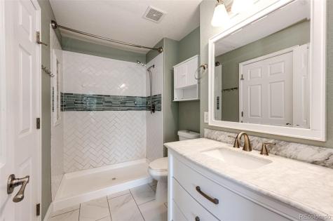 1482 Nemrick Place Castle Rock CO 80109