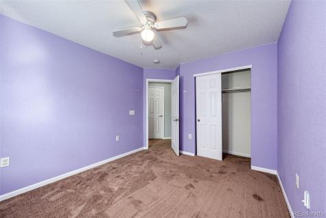 1482 Nemrick Place Castle Rock CO 80109