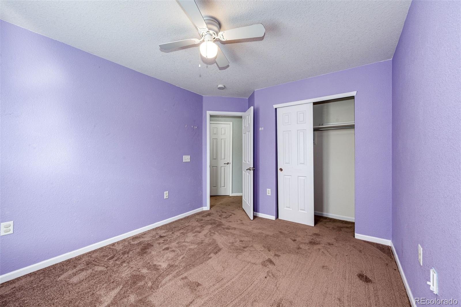 1482 Nemrick Place Castle Rock CO 80109
