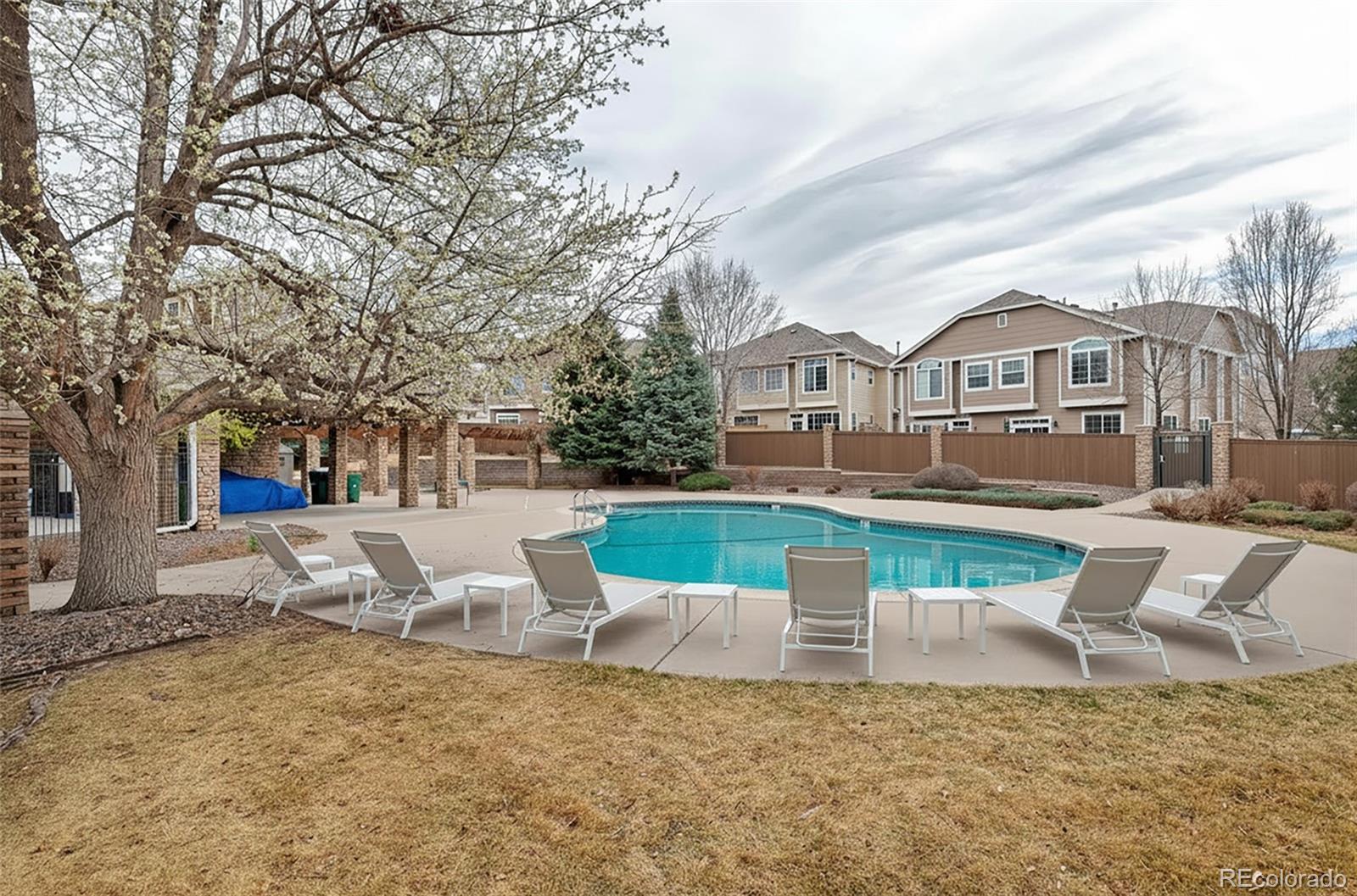 1237 Carlyle Park Circle Highlands Ranch CO 80129
