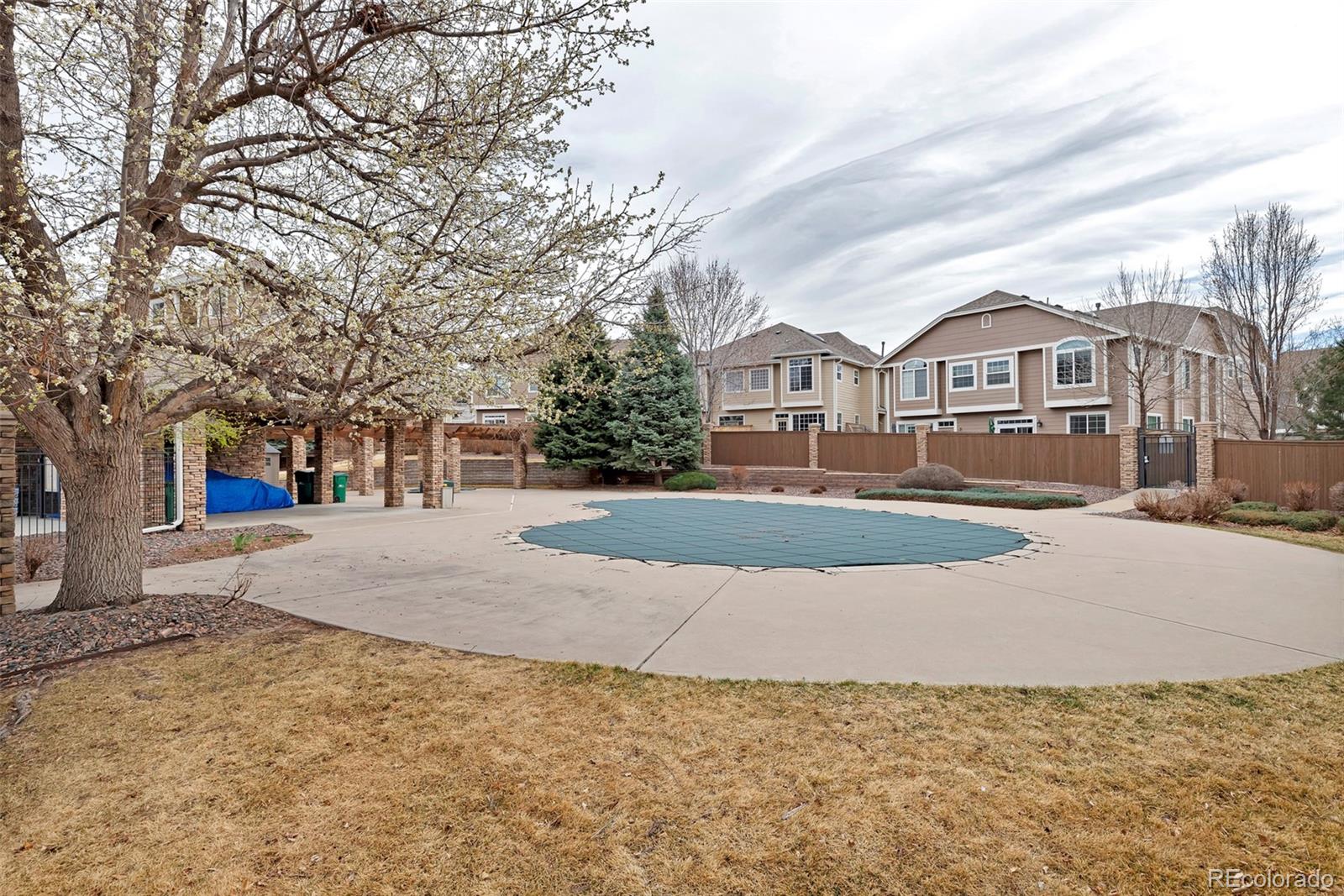 1237 Carlyle Park Circle Highlands Ranch CO 80129
