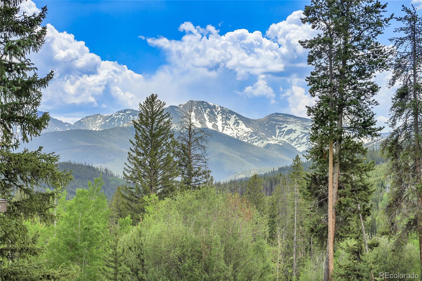 147 Forest Trail Winter Park CO 80482