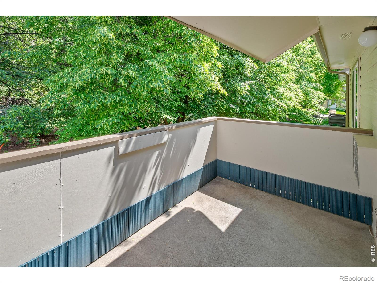3465 Lochwood Drive Fort Collins CO 80525