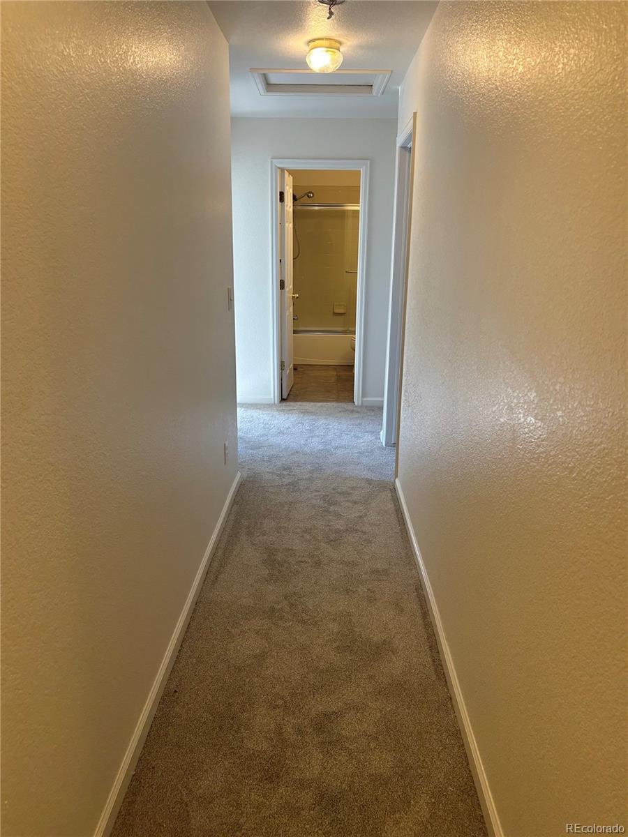 1497 Willow Oak Road Castle Rock CO 80104