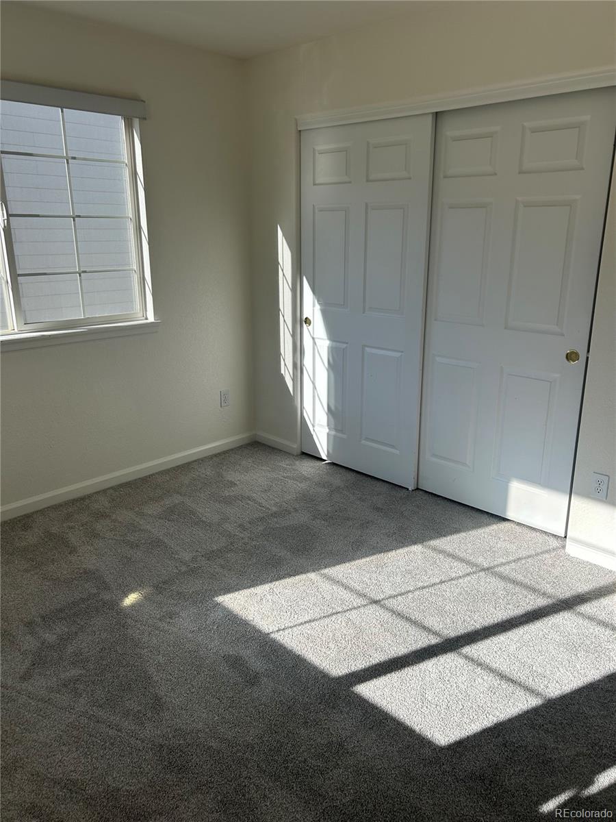 1497 Willow Oak Road Castle Rock CO 80104