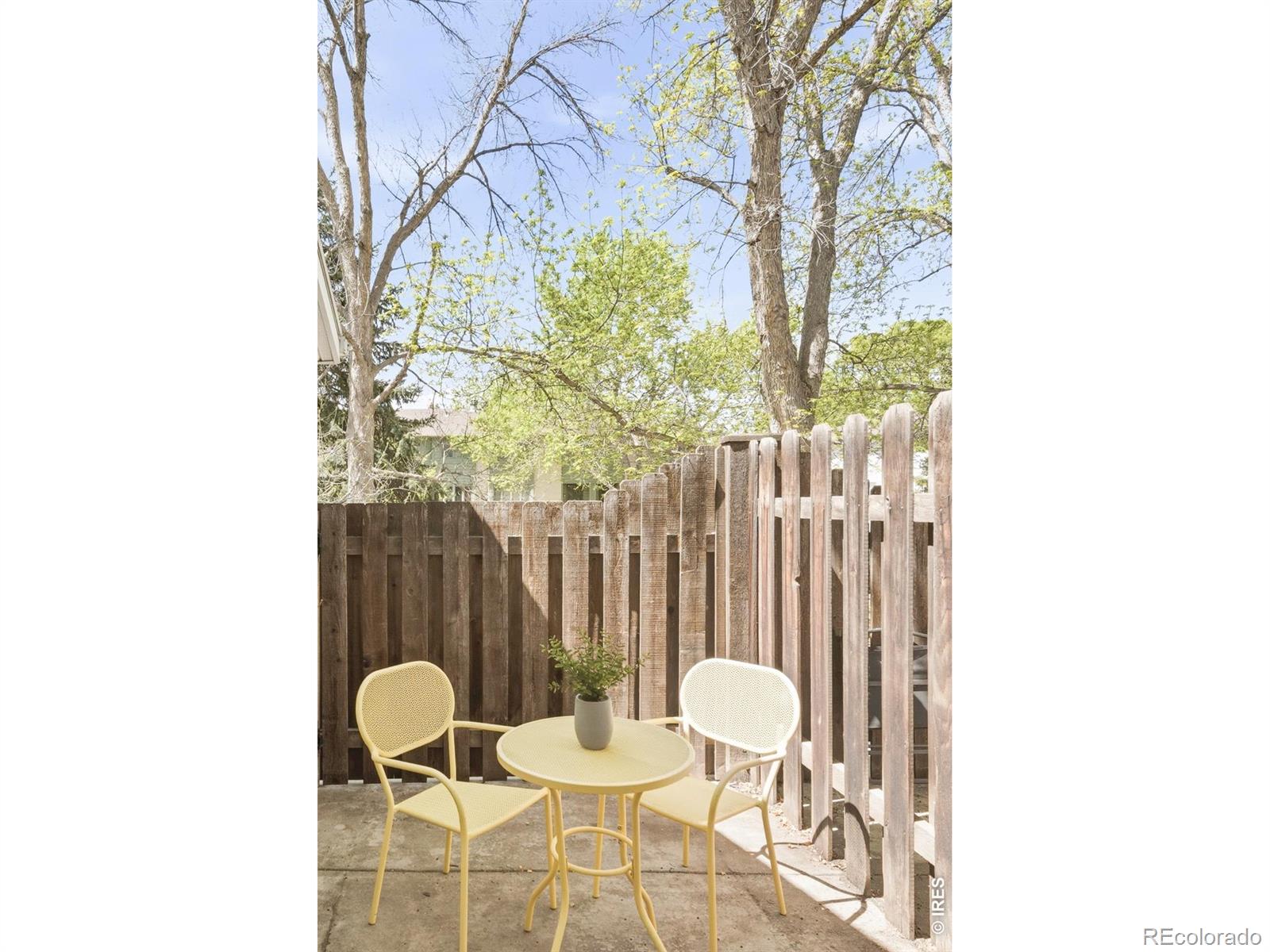 2106 Meadow Court Longmont CO 80501