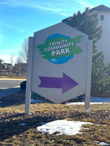 1231 Villa Grove Monument CO 80132